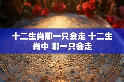 十二生肖那一只会走 十二生肖中 哪一只会走