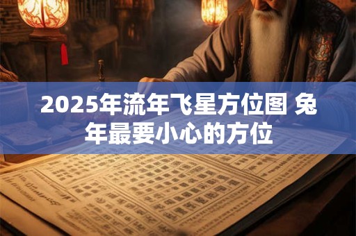 2025年流年飞星方位图 兔年最要小心的方位