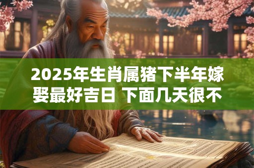 2025年生肖属猪下半年嫁娶最好吉日 下面几天很不错