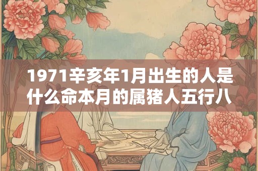 1971辛亥年1月出生的人是什么命本月的属猪人五行八字查询