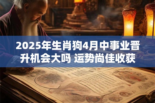 2025年生肖狗4月中事业晋升机会大吗 运势尚佳收获多多