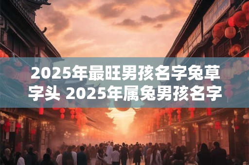 2025年最旺男孩名字兔草字头 2025年属兔男孩名字宜忌