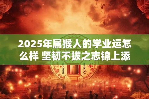 2025年属猴人的学业运怎么样 坚韧不拔之志锦上添花
