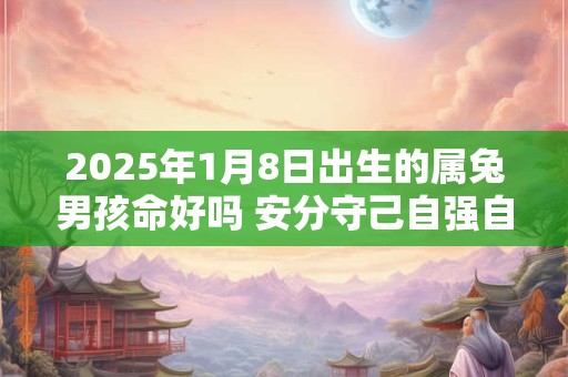 2025年1月8日出生的属兔男孩命好吗 安分守己自强自立