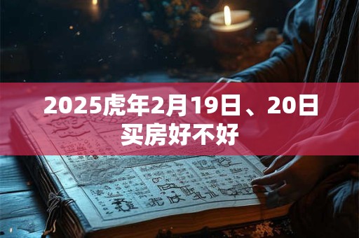 2025虎年2月19日、20日买房好不好