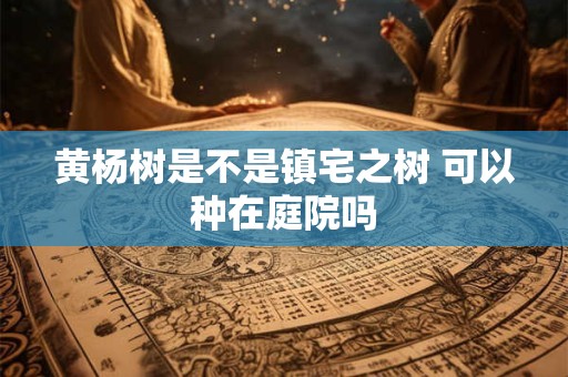 黄杨树是不是镇宅之树 可以种在庭院吗