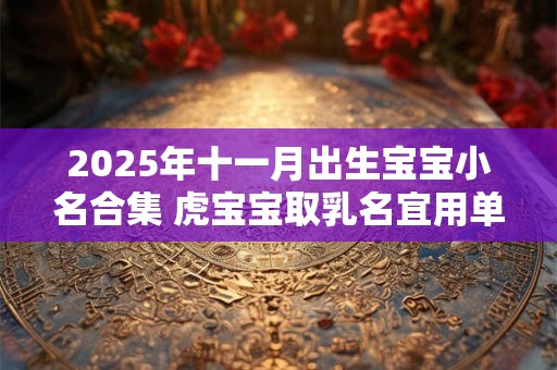 2025年十一月出生宝宝小名合集 虎宝宝取乳名宜用单字