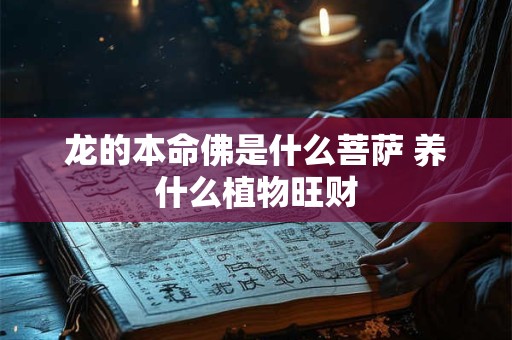 龙的本命佛是什么菩萨 养什么植物旺财