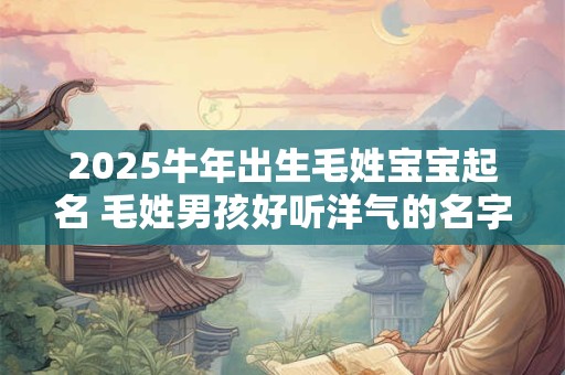 2025牛年出生毛姓宝宝起名 毛姓男孩好听洋气的名字