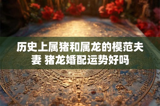 历史上属猪和属龙的模范夫妻 猪龙婚配运势好吗