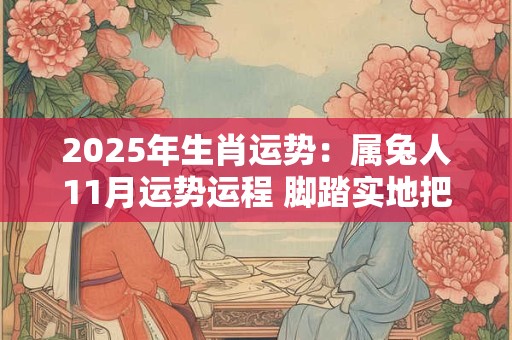 2025年生肖运势：属兔人11月运势运程 脚踏实地把握机会
