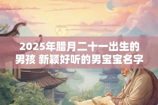 2025年腊月二十一出生的男孩 新颖好听的男宝宝名字