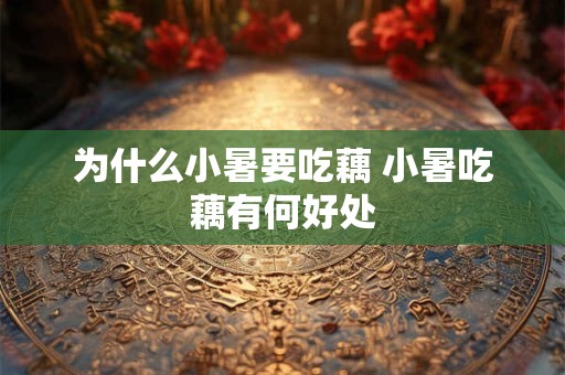 为什么小暑要吃藕 小暑吃藕有何好处 为什么小暑要吃藕 小暑吃藕有何好处