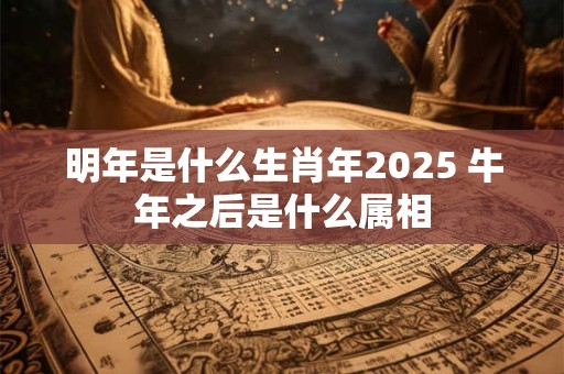明年是什么生肖年2025 牛年之后是什么属相