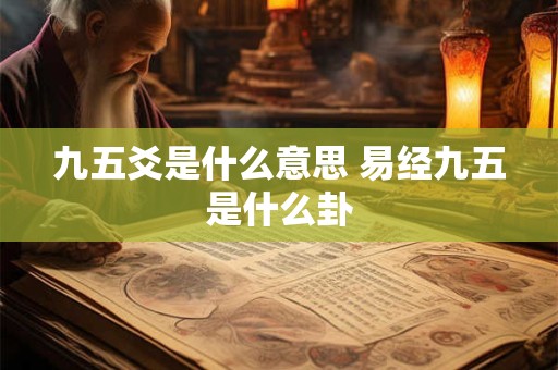 九五爻是什么意思 易经九五是什么卦