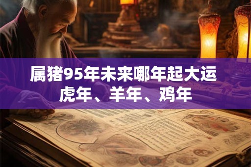 属猪95年未来哪年起大运 虎年、羊年、鸡年
