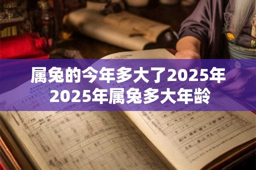 属兔的今年多大了2025年 2025年属兔多大年龄 属兔的今年多大了2025年 2025年属兔多大年龄