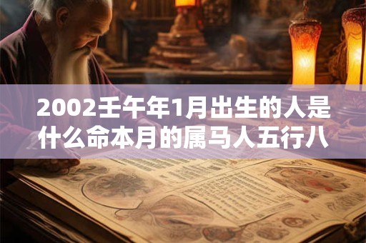 2002壬午年1月出生的人是什么命本月的属马人五行八字查询