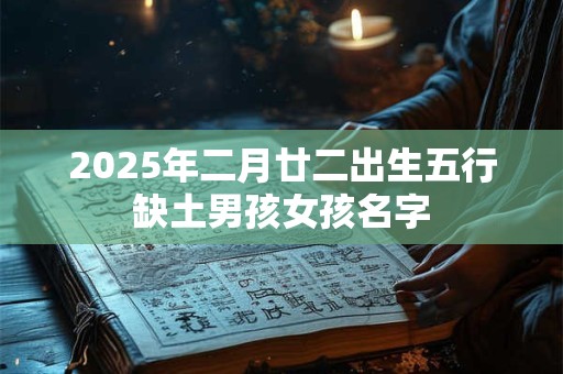 2025年二月廿二出生五行缺土男孩女孩名字