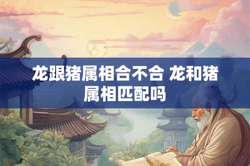 龙跟猪属相合不合 龙和猪属相匹配吗