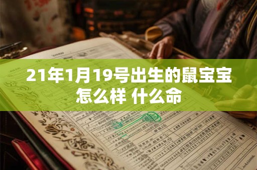 21年1月19号出生的鼠宝宝怎么样 什么命 21年1月19号出生的鼠宝宝怎么样 什么命
