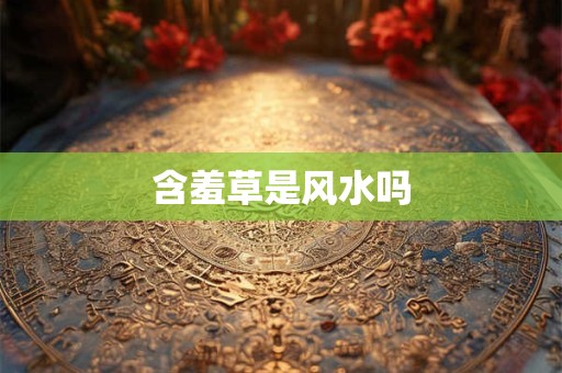 含羞草是风水吗