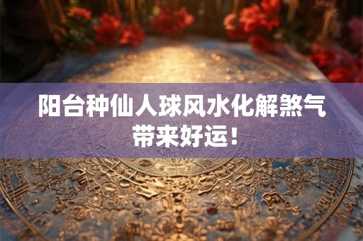 阳台种仙人球风水化解煞气 带来好运! 阳台种仙人球风水化解煞气 带来好运!