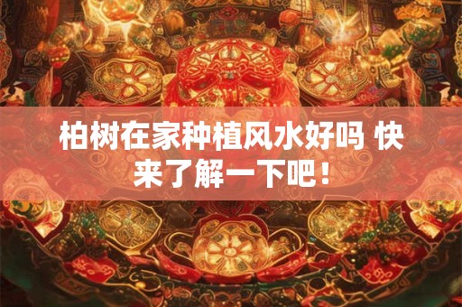 柏树在家种植风水好吗 快来了解一下吧！