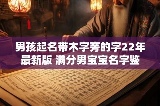 男孩起名带木字旁的字22年最新版 满分男宝宝名字鉴赏