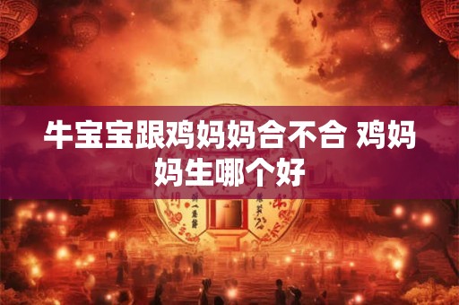 牛宝宝跟鸡妈妈合不合 鸡妈妈生哪个好