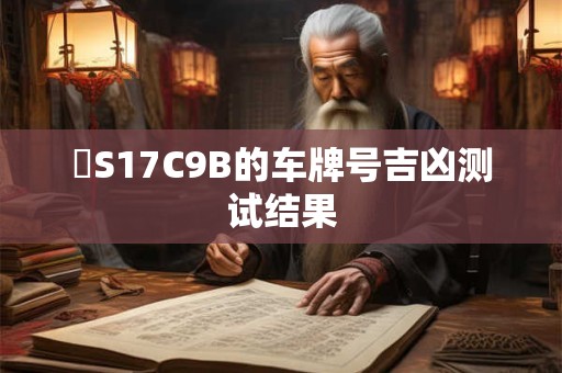 粵S17C9B的车牌号吉凶测试结果