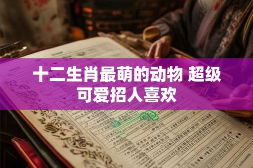 十二生肖最萌的动物 超级可爱招人喜欢