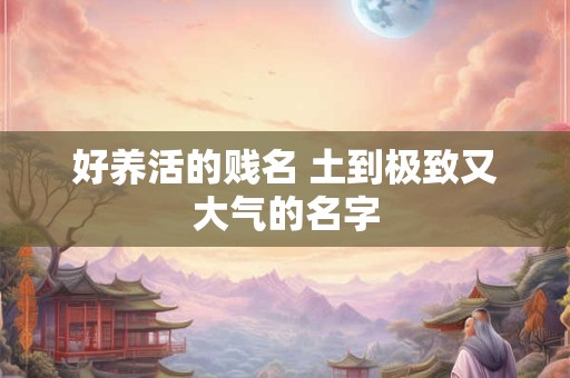 好养活的贱名 土到极致又大气的名字
