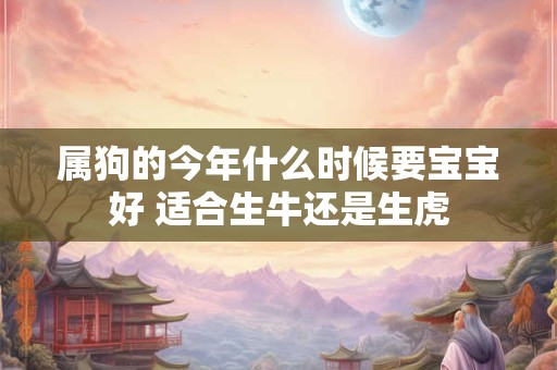 属狗的今年什么时候要宝宝好 适合生牛还是生虎