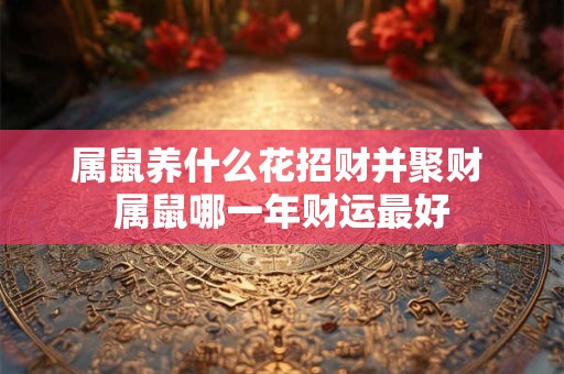 属鼠养什么花招财并聚财 属鼠哪一年财运最好 属鼠养什么花招财并聚财 属鼠哪一年财运最好