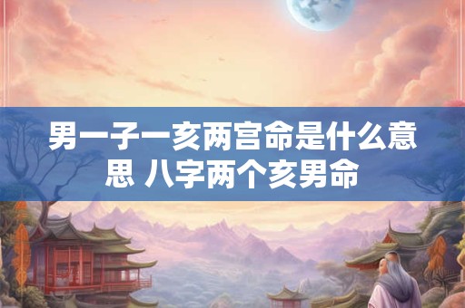 男一子一亥两宫命是什么意思 八字两个亥男命 男一子一亥两宫命是什么意思 八字两个亥男命