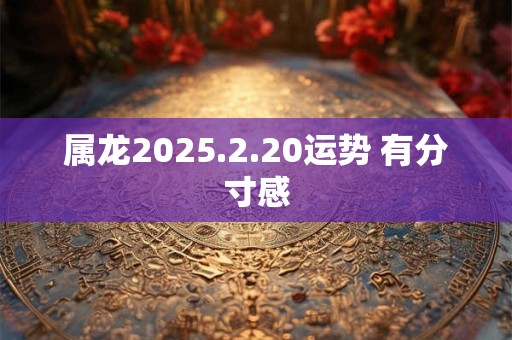 属龙2025.2.20运势 有分寸感