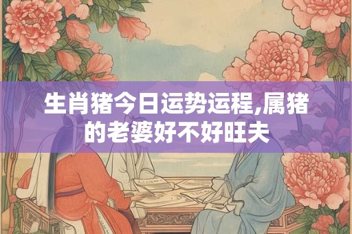 生肖猪今日运势运程,属猪的老婆好不好旺夫