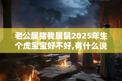 老公属猪我属鼠2025年生个虎宝宝好不好,有什么说法？