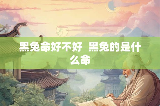 详细阅读:黑兔命好不好 黑兔的是什么命 黑兔命好不好 黑兔的是什么命