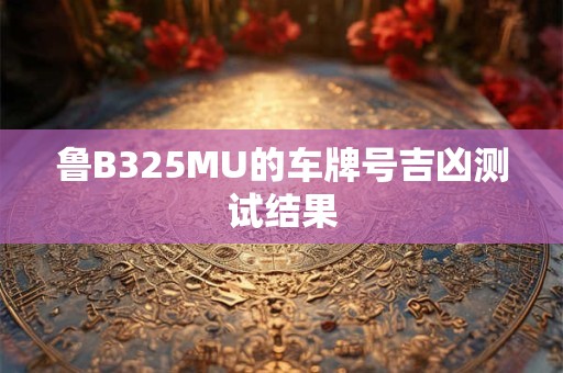 鲁B325MU的车牌号吉凶测试结果
