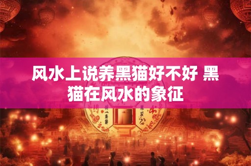 风水上说养黑猫好不好 黑猫在风水的象征