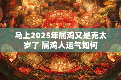 马上2025年属鸡又是克太岁了 属鸡人运气如何