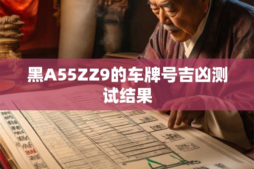 黑A55ZZ9的车牌号吉凶测试结果