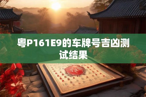 粤P161E9的车牌号吉凶测试结果