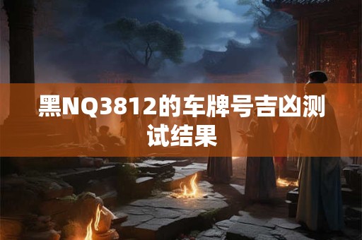 黑NQ3812的车牌号吉凶测试结果
