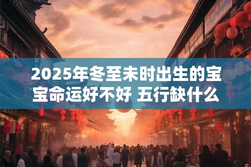 2025年冬至未时出生的宝宝命运好不好 五行缺什么