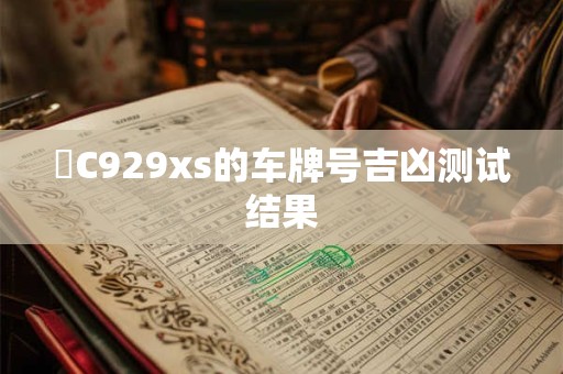 魯C929xs的车牌号吉凶测试结果