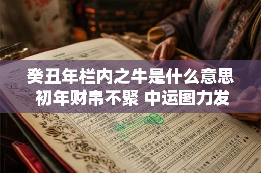 癸丑年栏内之牛是什么意思 初年财帛不聚 中运图力发展