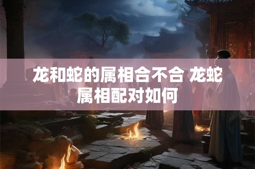 龙和蛇的属相合不合 龙蛇属相配对如何